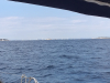 20190919_135756
